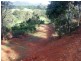 51 Abbott Court GUANABA 4210, Guanaba QLD 4210