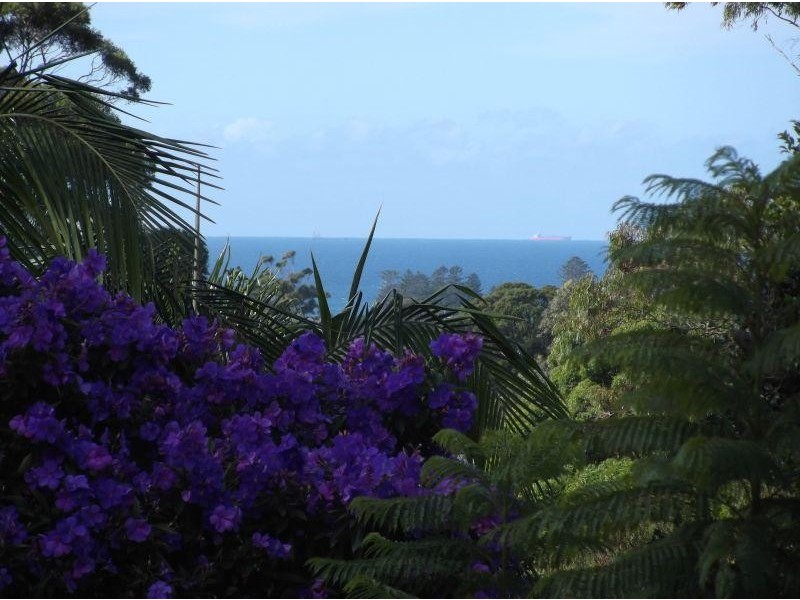 87 Princes Highway THIRROUL 2515, Thirroul NSW 2515