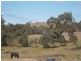 95 Condell Park, Wilton NSW 2571