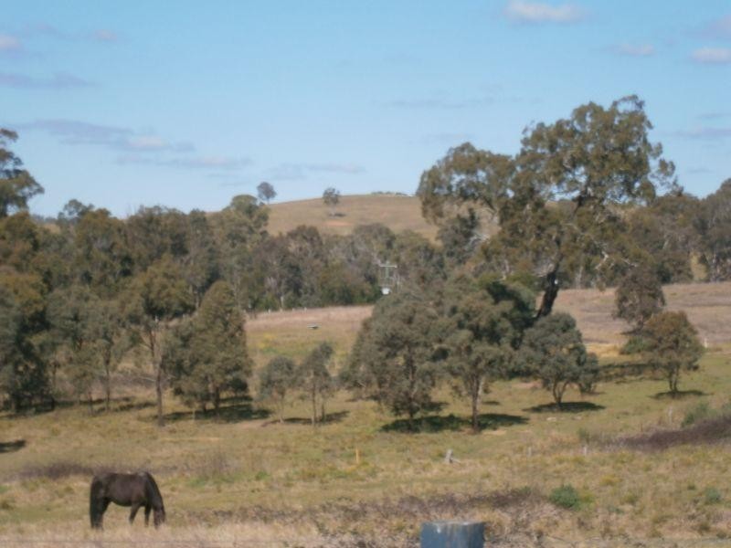 95 Condell Park, Wilton NSW 2571