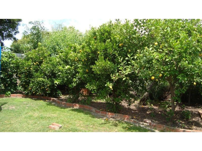 12 Hortense Street GLEN IRIS 3146, Glen Iris VIC 3146