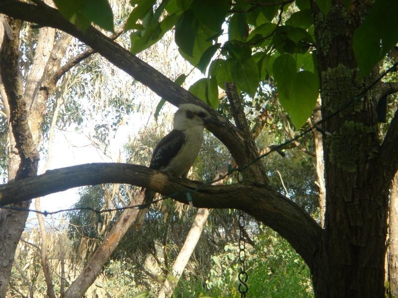 23 Westering Road CHRISTMAS HILLS 3775, Christmas Hills VIC 3775