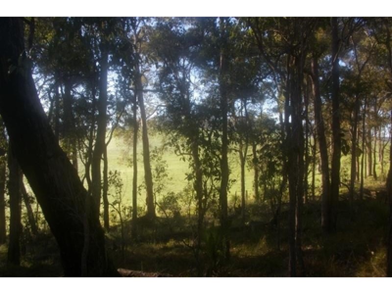 Lot 148 Struthers Street NANNUP 6275, Nannup WA 6275