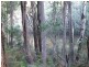 Lot 12 Blackwood River Drive NANNUP 6275, Nannup WA 6275