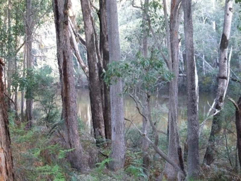 Lot 12 Blackwood River Drive NANNUP 6275, Nannup WA 6275