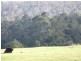 Lot 12 Blackwood River Drive NANNUP 6275, Nannup WA 6275