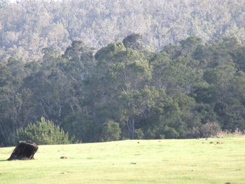 Lot 12 Blackwood River Drive NANNUP 6275, Nannup WA 6275