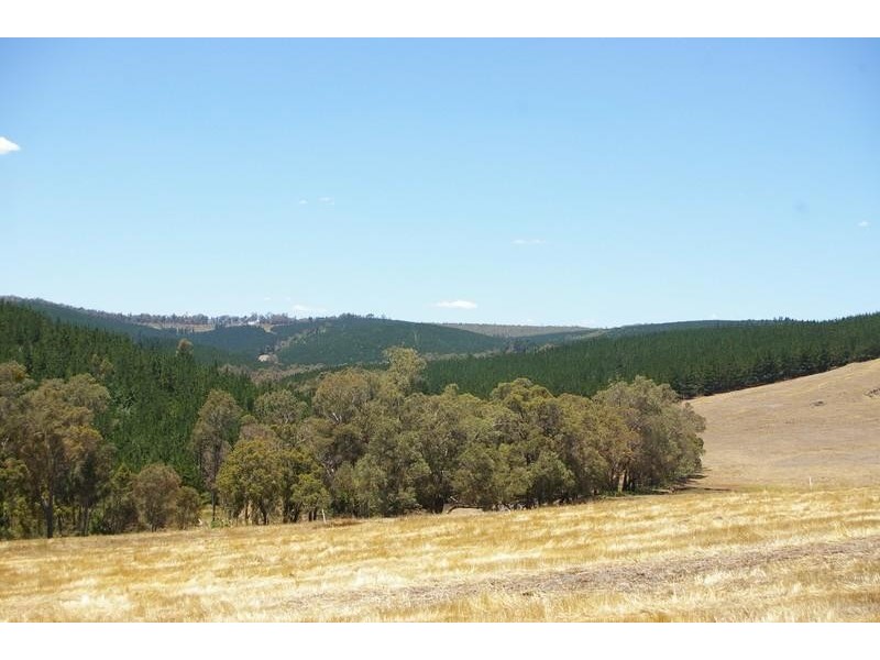 21 Hitchcock Drive NANNUP 6275, Nannup WA 6275