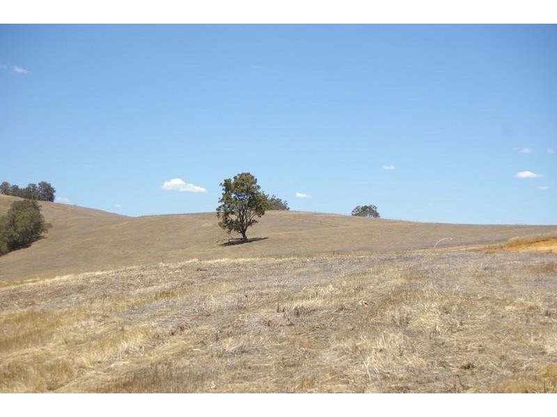 21 Hitchcock Drive NANNUP 6275, Nannup WA 6275