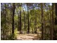 Lot 11173 Gold Gully Road NANNUP 6275, Nannup WA 6275