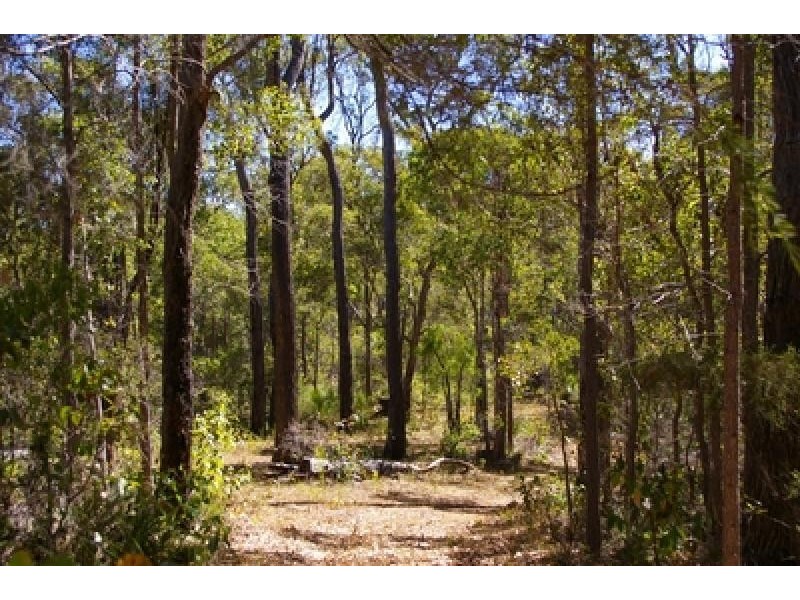 Lot 11173 Gold Gully Road NANNUP 6275, Nannup WA 6275