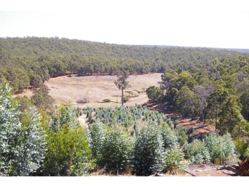 Lot 11173 Gold Gully Road NANNUP 6275, Nannup WA 6275
