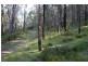 Loc 1331 Boundary Road NANNUP 6275, Nannup WA 6275