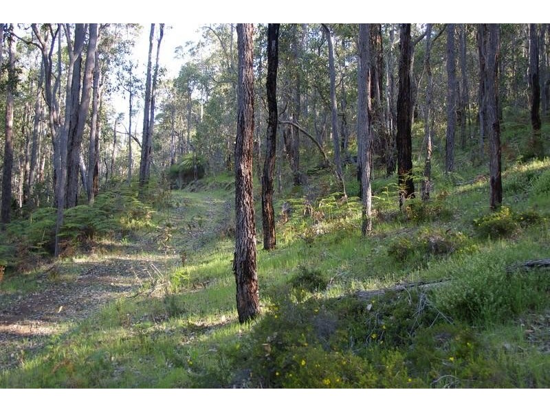 Loc 1331 Boundary Road NANNUP 6275, Nannup WA 6275