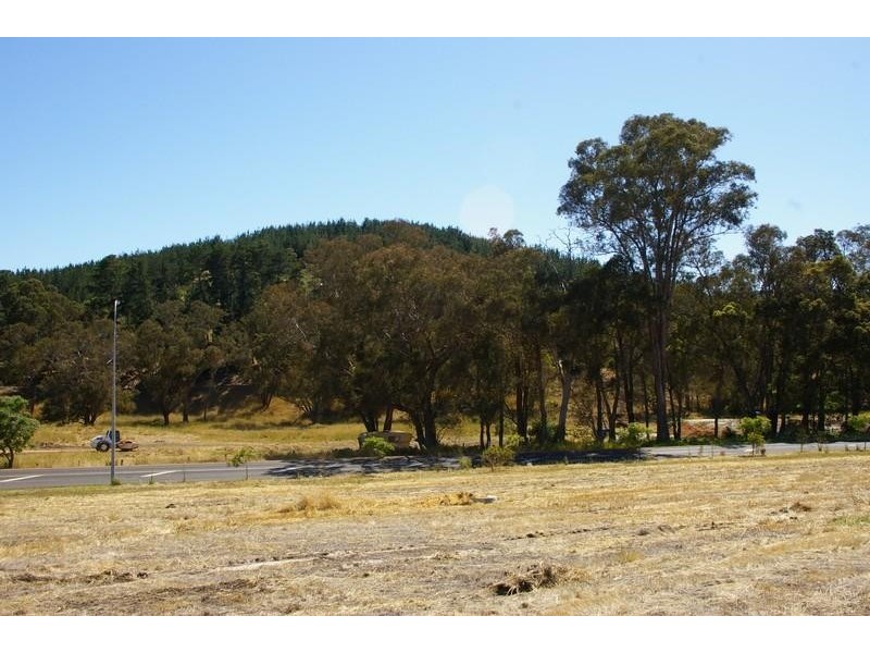 3 Hitchcock  Drive NANNUP 6275, Nannup WA 6275