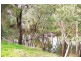 2 Dean  Road NANNUP 6275, Nannup WA 6275
