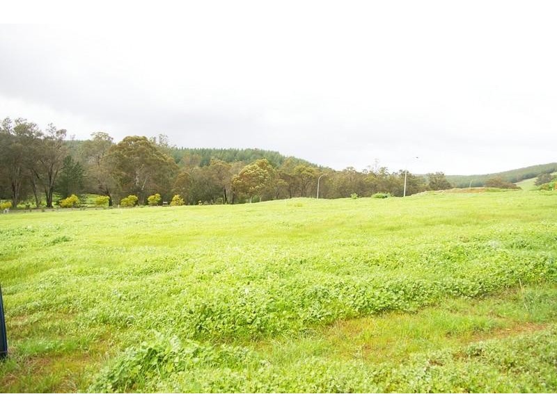 7 Hitchcock  Drive NANNUP 6275, Nannup WA 6275
