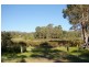 Lot 26 Cockatoo Drive NANNUP 6275, Nannup WA 6275