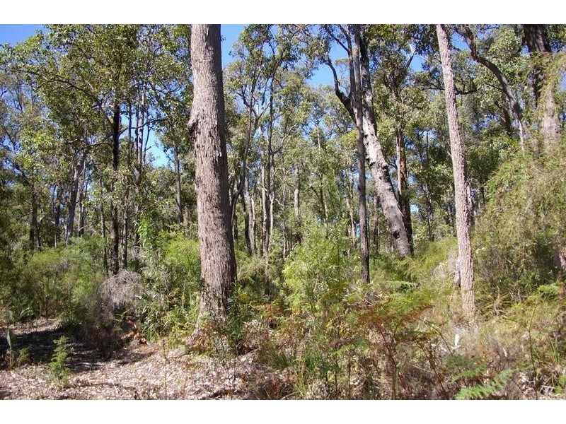 13 Orchid Place NANNUP 6275, Nannup WA 6275