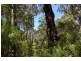 13 Orchid Place NANNUP 6275, Nannup WA 6275