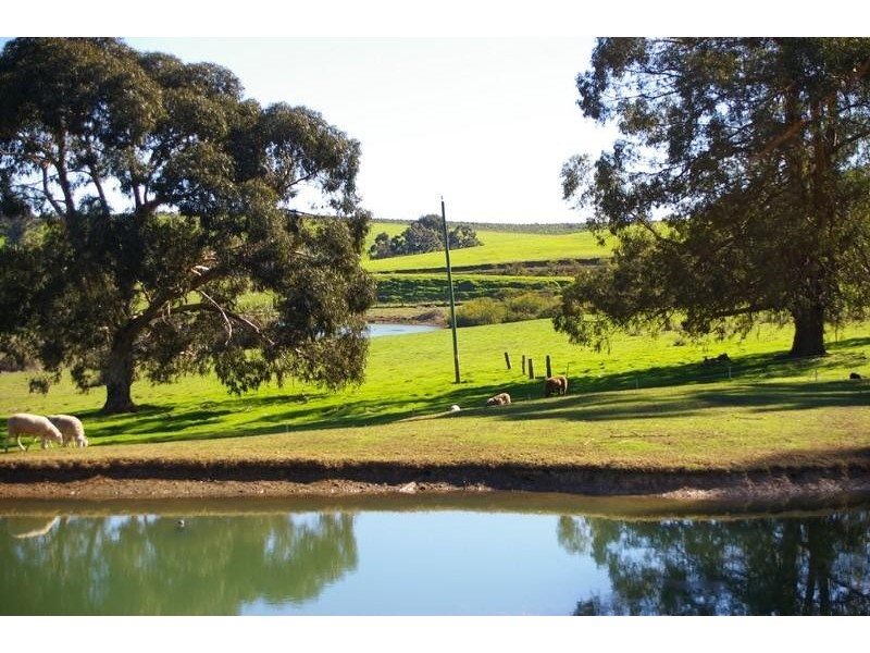 Lot 2 Gold Gully Road NANNUP 6275, Nannup WA 6275