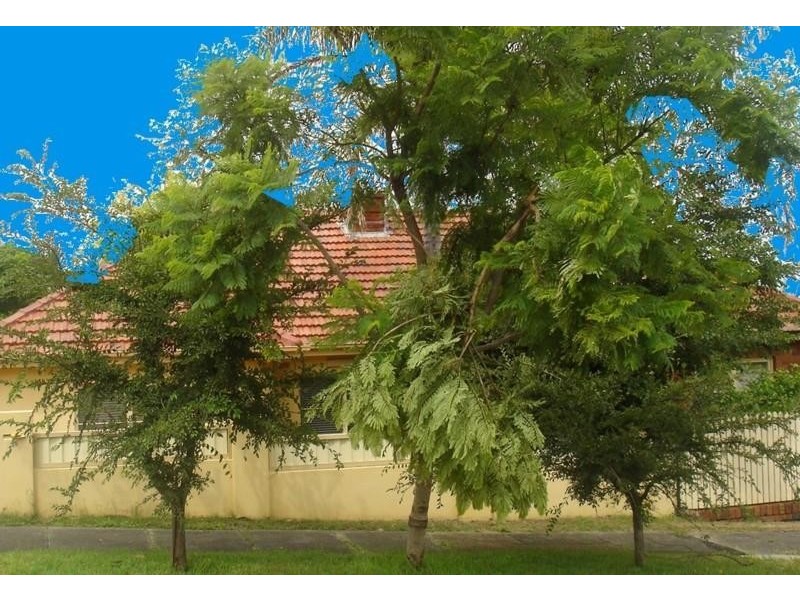 16 Lloyd Street SANS SOUCI 2219, Sans Souci NSW 2219