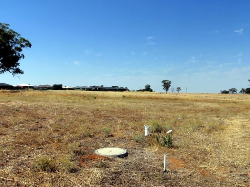 Wagga Wagga NSW 2650