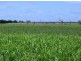 Ayr QLD 4807
