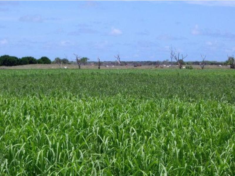 Ayr QLD 4807