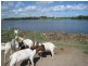Ayr QLD 4807