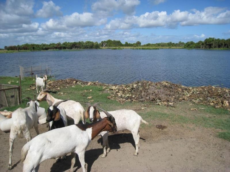 Ayr QLD 4807