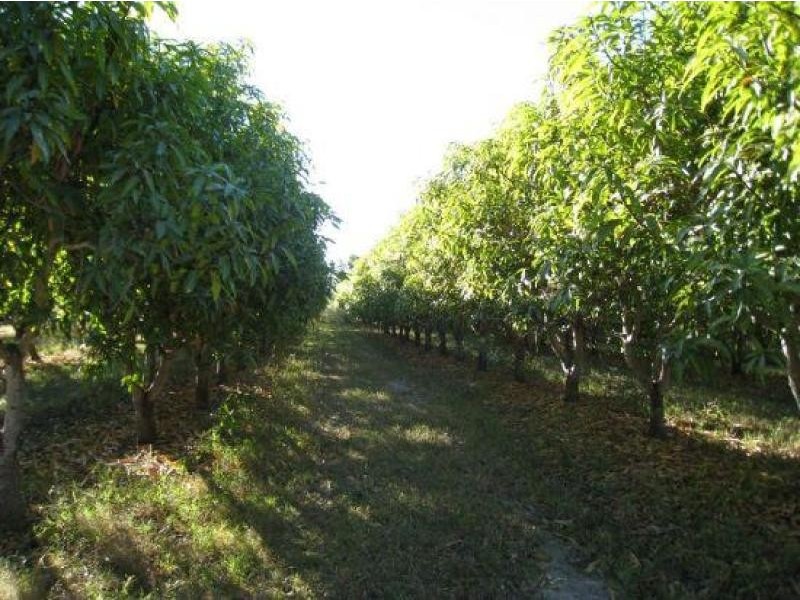 Gumlu QLD 4805
