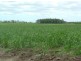 Giru QLD 4809
