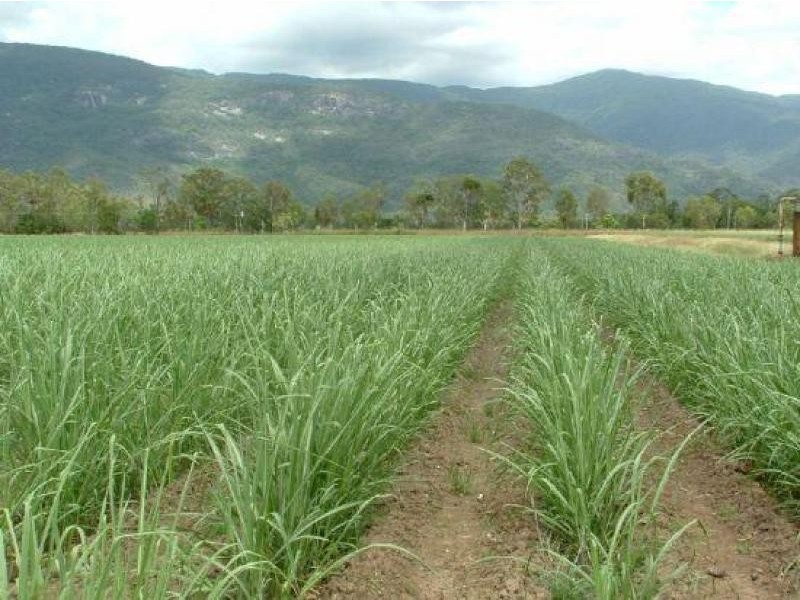 Giru QLD 4809