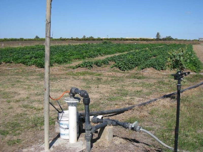 Horseshoe Lagoon QLD 4809