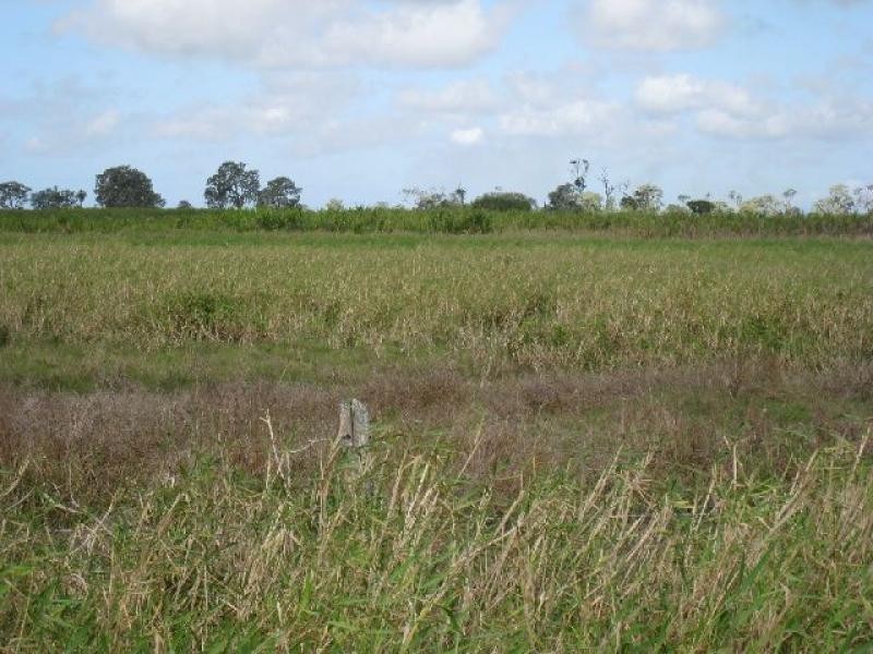 Ayr QLD 4807