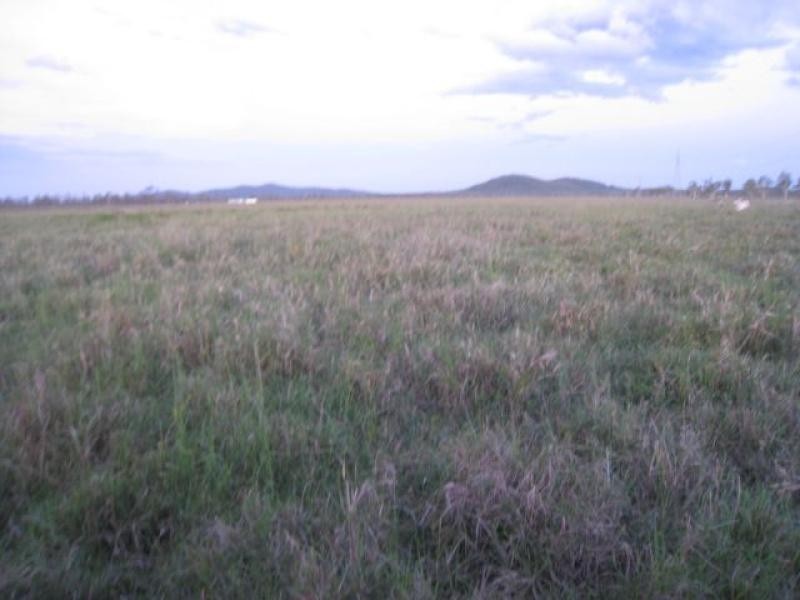 Majors Creek QLD 4816