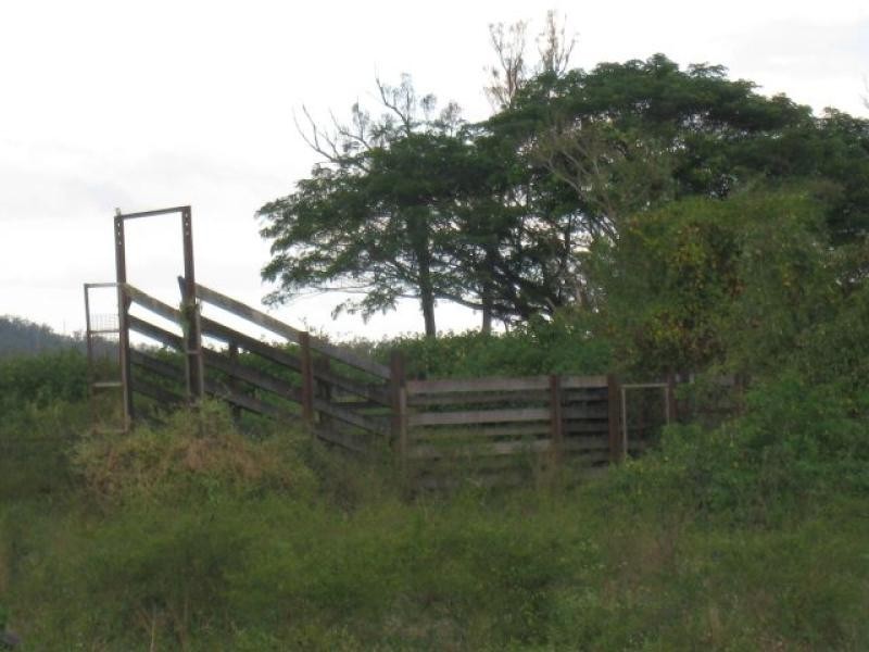 Majors Creek QLD 4816