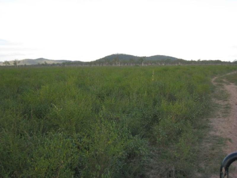 Majors Creek QLD 4816