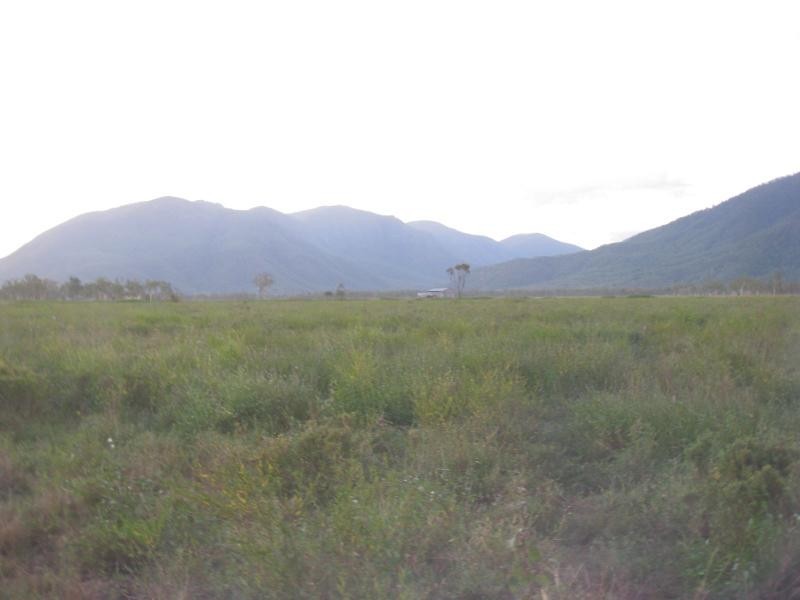 Majors Creek QLD 4816