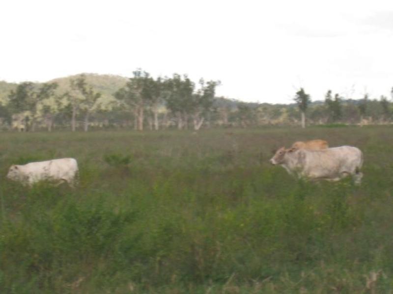 Majors Creek QLD 4816