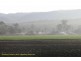 Moonford QLD 4630