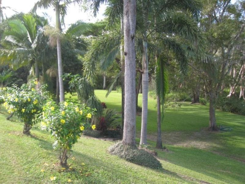 1006 Woodstock Giru Road, Mount Surround QLD 4809