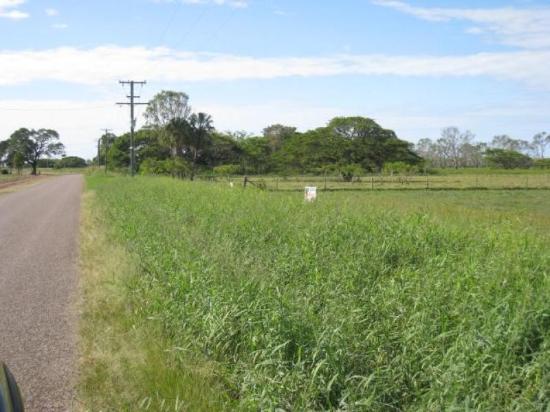 294 Hodel Road, Giru QLD 4809