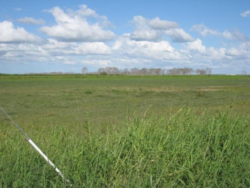 294 Hodel Road, Giru QLD 4809