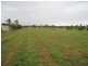 5a Ramtron Place, Ayr QLD 4807
