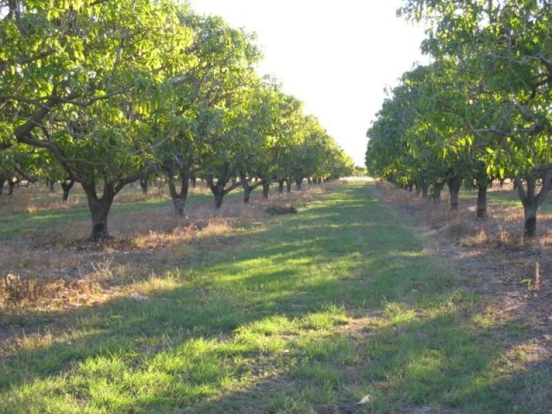 90 Bartlett Road HORSESHOE LAGOON 4809, Horseshoe Lagoon QLD 4809