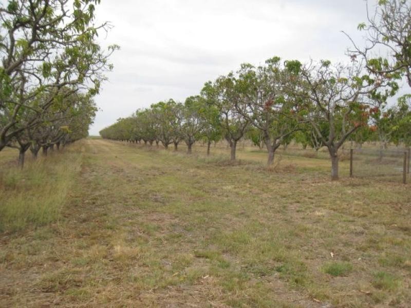 63 Kensington Avenue, Horseshoe Lagoon QLD 4809