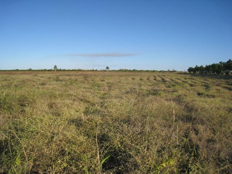 Horseshoe Lagoon QLD 4809