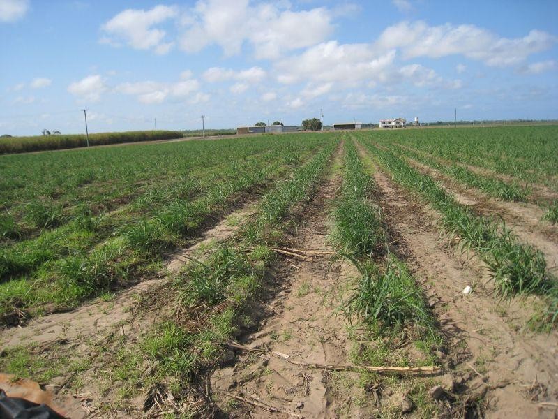 Rita Island QLD 4807